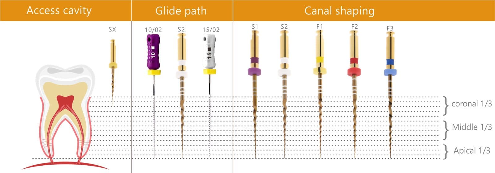 Trâm máy nội nha Sup-Taper File| Rogin Dental Trung Quốc