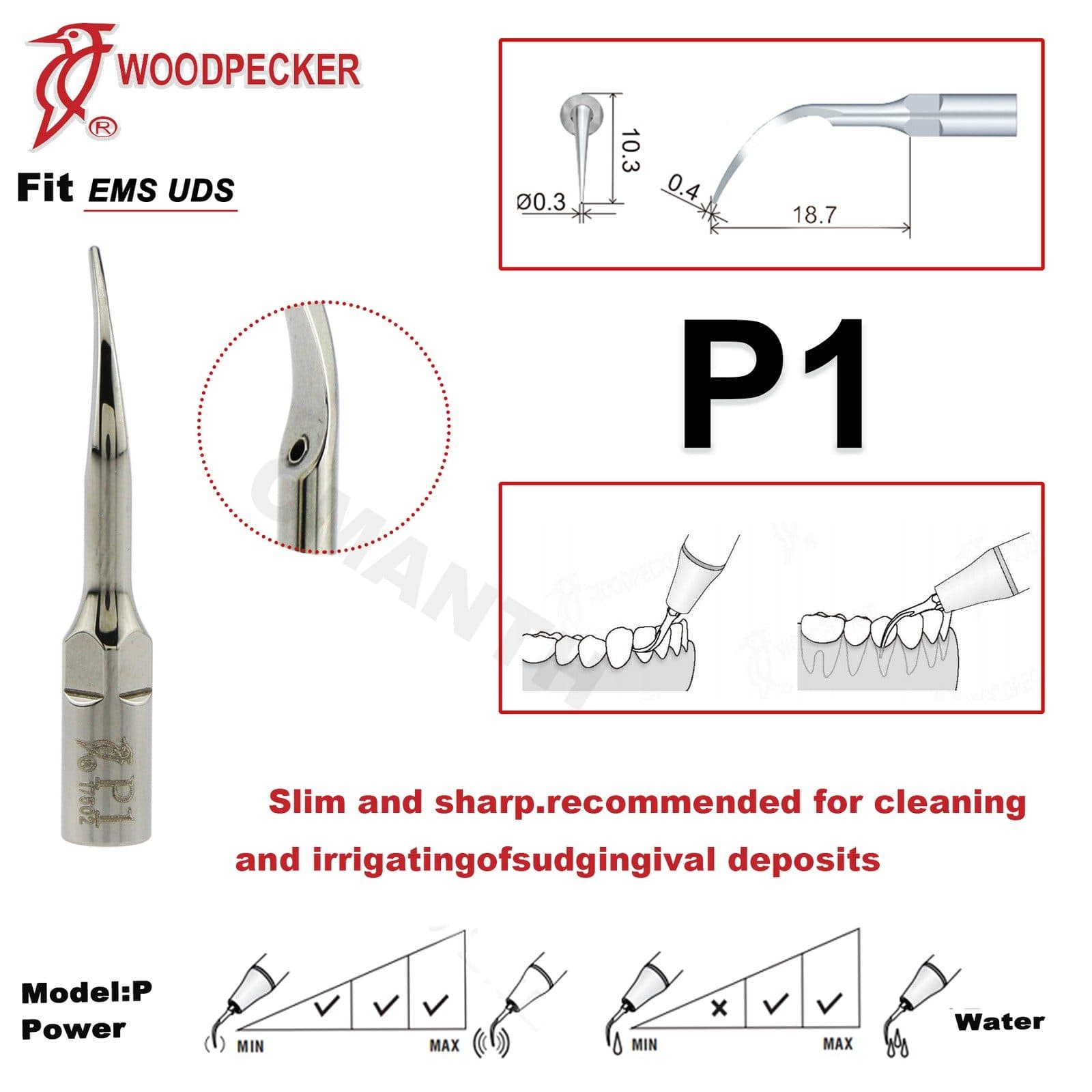 Mũi cạo vôi răng Woodpecker | Trung Quốc