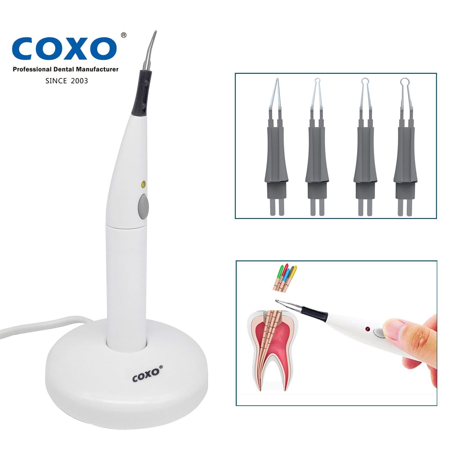 Máy Cắt Gutta C-BLADE | Coxo Trung Quốc