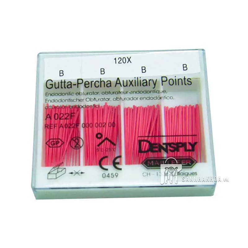 Côn Phụ Gutta Percha AUXILIARIE Maillefer Dentsply Mỹ