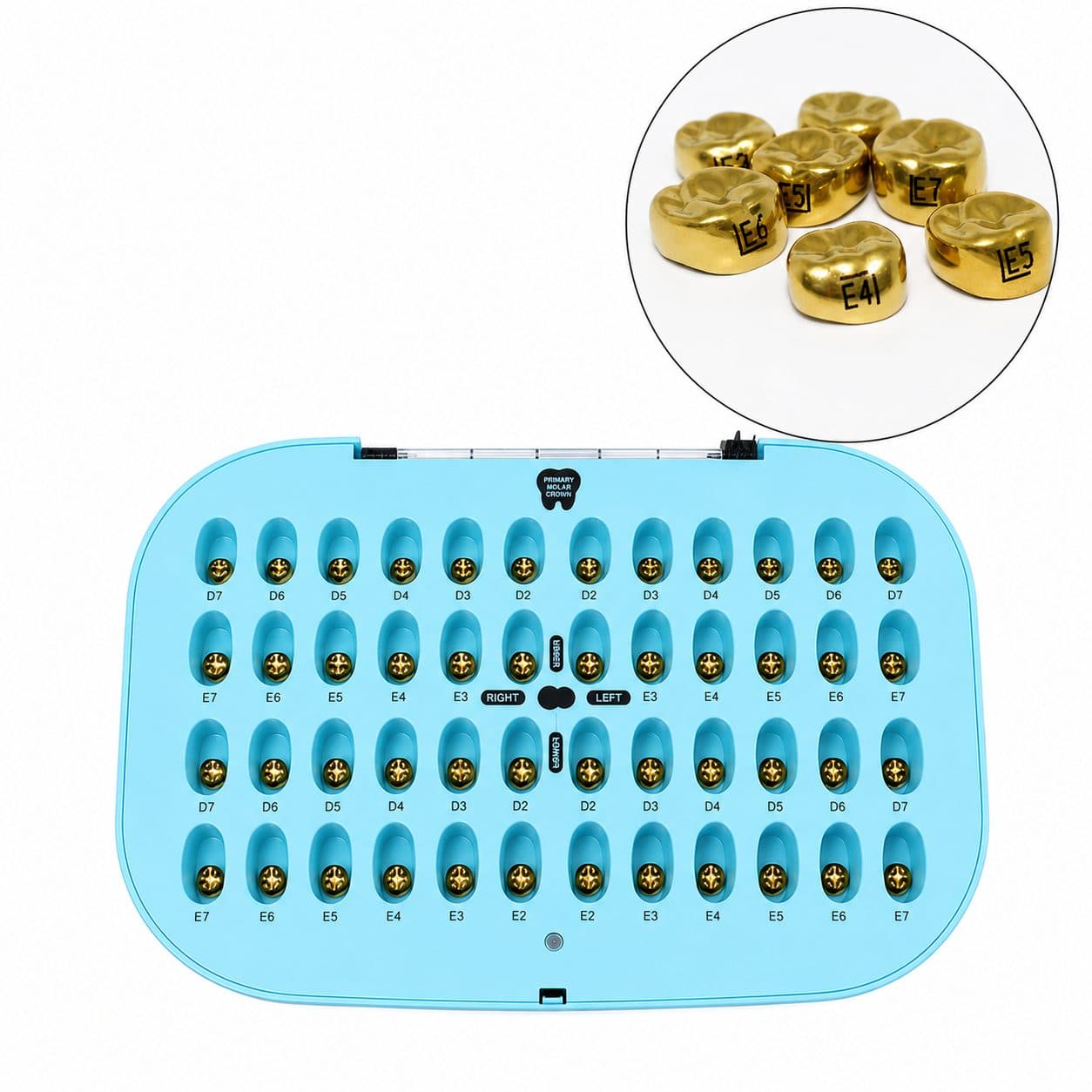 Mão răng sữa trẻ em màu vàng DENTAL KIDS GOLDEN CROW