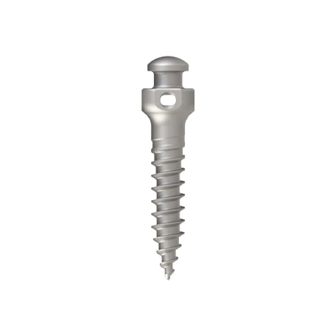 Minivis chỉnh nha AS Đầu lục giác Hole 0.7mm | Mico One Đài Loan - Titanium / 2.0mm*L08mm