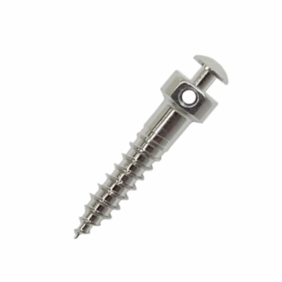 Minivis chỉnh nha AS Đầu lục giác Hole 0.7mm | Mico One Đài Loan - Titanium / 2.0mm*L10mm
