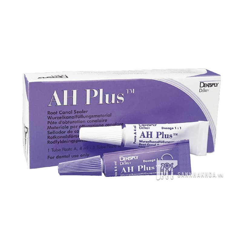Mũi quay vật liệu nội nha LENTULO Maillefer Dentsply Mỹ