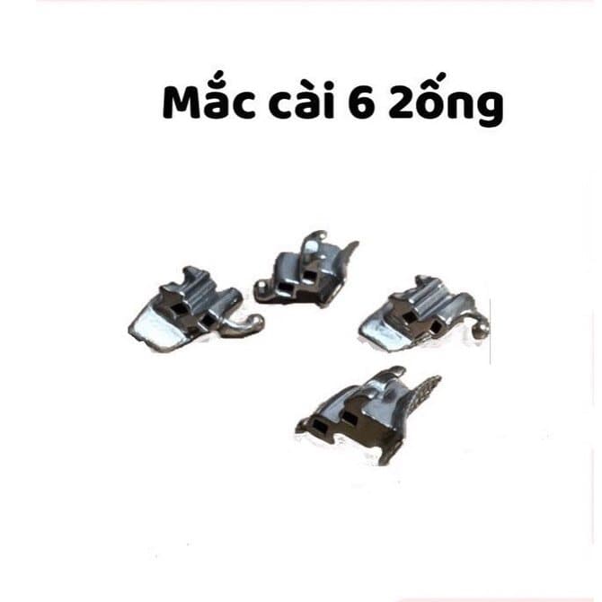 Tube 2 ống Răng 6,7 AO