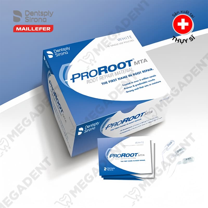 Mũi quay vật liệu nội nha LENTULO Maillefer Dentsply Mỹ