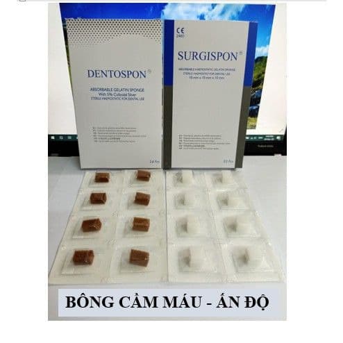 Xốp Cầm Máu Nha Khoa Gelatin | Surgispon Ấn Độ