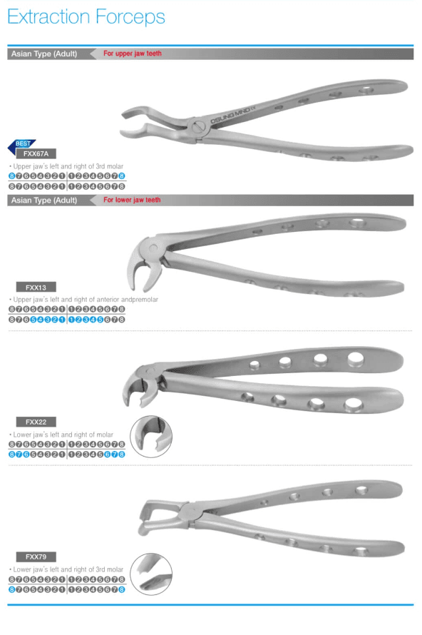 Kìm nhổ răng Extraction Forcep | Osung Hàn Quốc